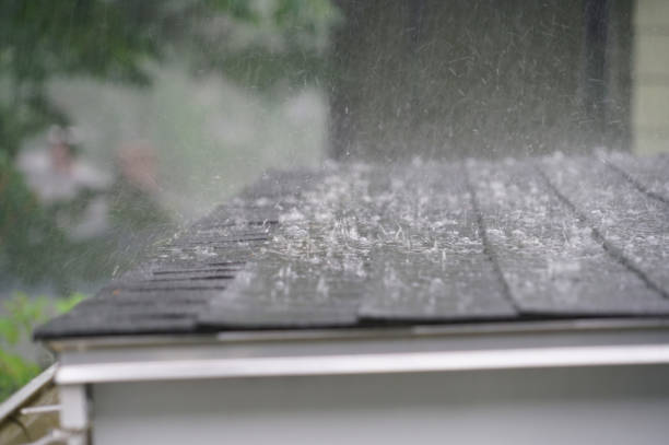 Best Roof Moss and Algae Removal  in Central City, PA